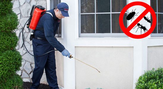 Perşembe Hamam Böceği İlaçlama böcek ilaçlama ve haşere kontrolü — ilaclama-tr.com